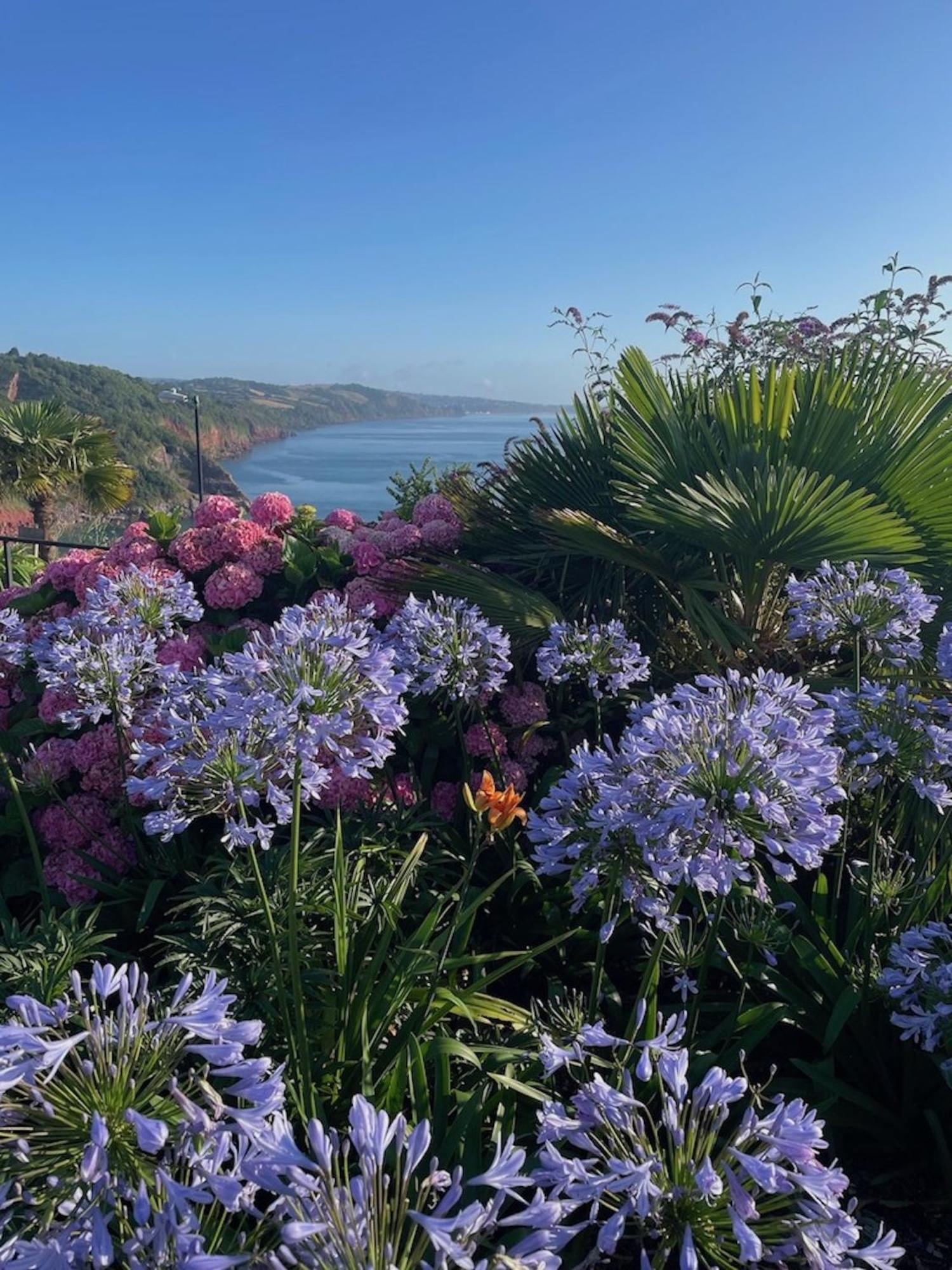 Headland View Boutique B&B Торки Екстериор снимка